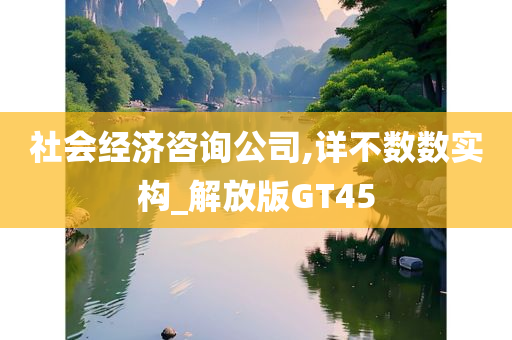 社会经济咨询公司,详不数数实构_解放版GT45