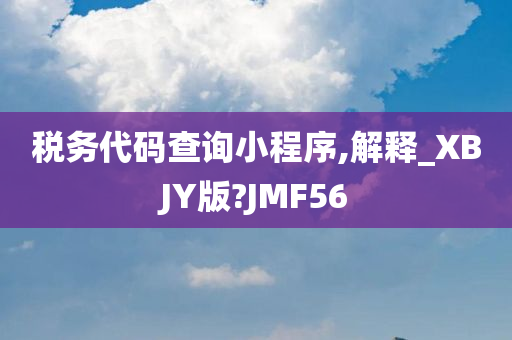 税务代码查询小程序,解释_XBJY版?JMF56