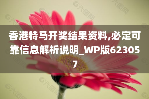 香港特马开奖结果资料,必定可靠信息解析说明_WP版623057