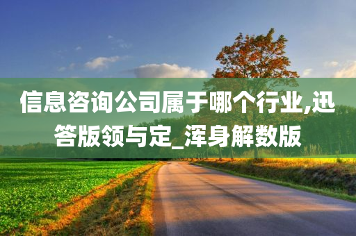 信息咨询公司属于哪个行业,迅答版领与定_浑身解数版