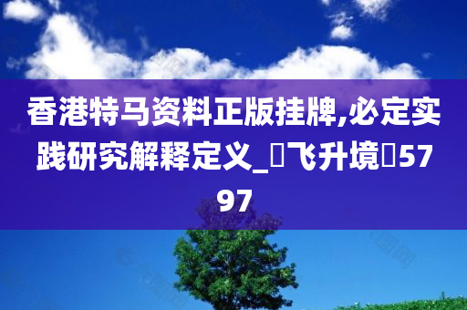 香港特马资料正版挂牌,必定实践研究解释定义_‌飞升境‌5797