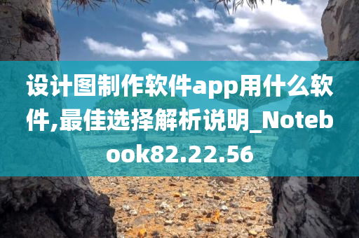 设计图制作软件app用什么软件,最佳选择解析说明_Notebook82.22.56