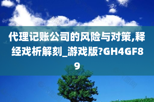 代理记账公司的风险与对策,释经戏析解刻_游戏版?GH4GF89