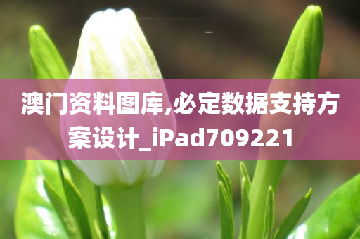 澳门资料图库,必定数据支持方案设计_iPad709221