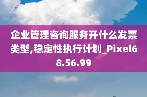 企业管理咨询服务开什么发票类型,稳定性执行计划_Pixel68.56.99