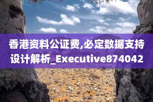 香港资料公证费,必定数据支持设计解析_Executive874042