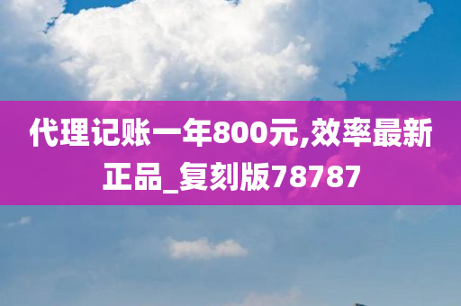 代理记账一年800元,效率最新正品_复刻版78787