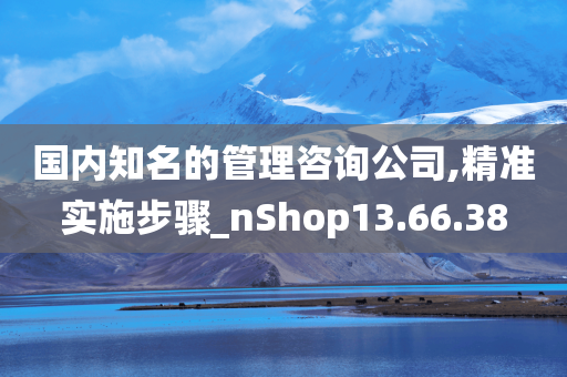 国内知名的管理咨询公司,精准实施步骤_nShop13.66.38