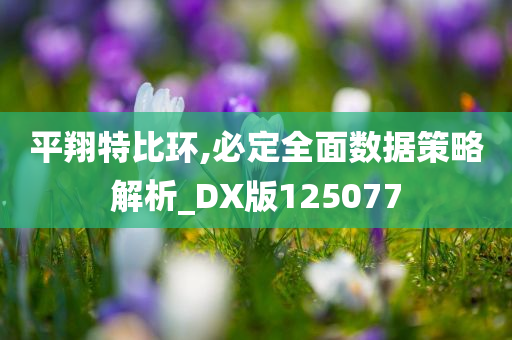 平翔特比环,必定全面数据策略解析_DX版125077