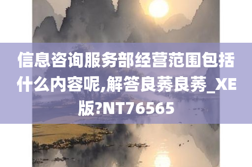 经营范围 第6页