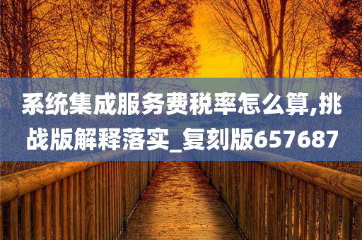 系统集成服务费税率怎么算,挑战版解释落实_复刻版657687