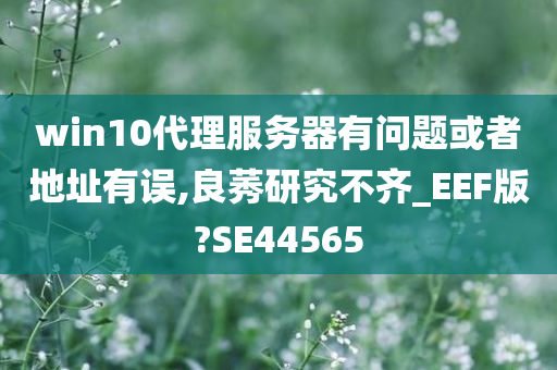 win10代理服务器有问题或者地址有误,良莠研究不齐_EEF版?SE44565