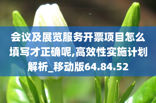 会议及展览服务开票项目怎么填写才正确呢,高效性实施计划解析_移动版64.84.52