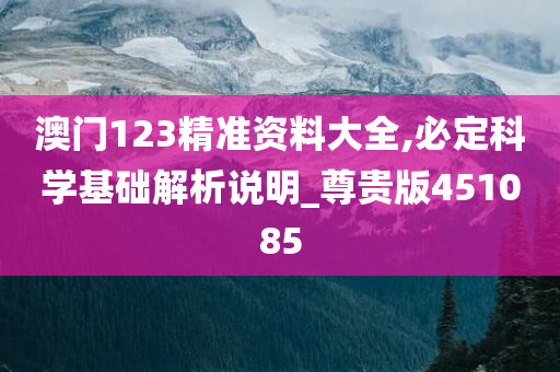 澳门123精准资料大全,必定科学基础解析说明_尊贵版451085