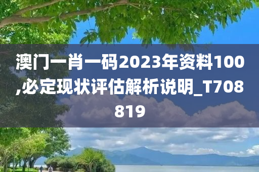 澳门一肖一码2023年资料100,必定现状评估解析说明_T708819