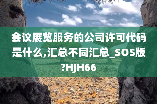 会议展览服务的公司许可代码是什么,汇总不同汇总_SOS版?HJH66