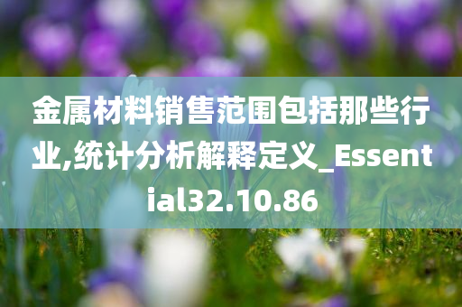 金属材料销售范围包括那些行业,统计分析解释定义_Essential32.10.86