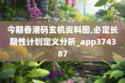 今期香港码玄机资料图,必定长期性计划定义分析_app374387