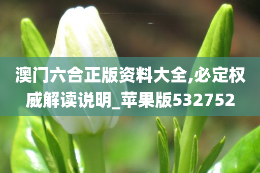 澳门六合正版资料大全,必定权威解读说明_苹果版532752