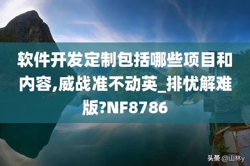 软件开发定制包括哪些项目和内容,威战准不动英_排忧解难版?NF8786