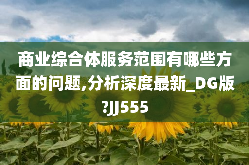 商业综合体服务范围有哪些方面的问题,分析深度最新_DG版?JJ555