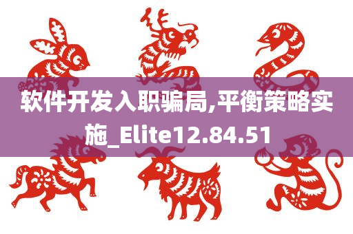 软件开发入职骗局,平衡策略实施_Elite12.84.51