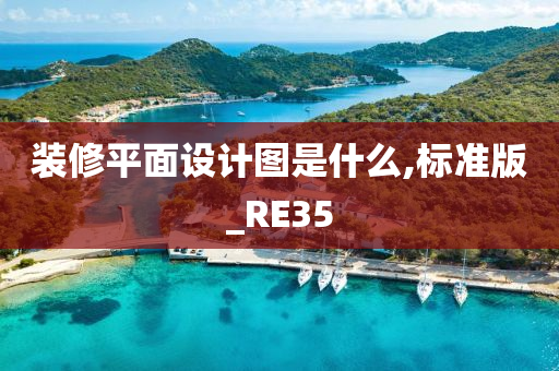 装修平面设计图是什么,标准版_RE35