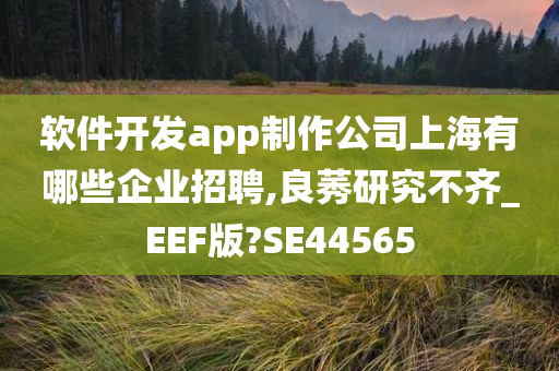 软件开发app制作公司上海有哪些企业招聘,良莠研究不齐_EEF版?SE44565