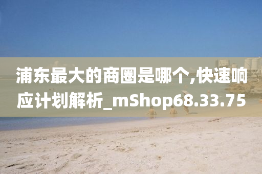 浦东最大的商圈是哪个,快速响应计划解析_mShop68.33.75