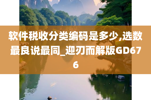 软件税收分类编码是多少,选数最良说最同_迎刃而解版GD676