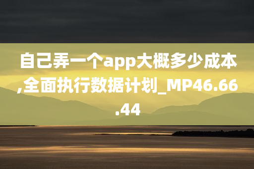 自己弄一个app大概多少成本,全面执行数据计划_MP46.66.44