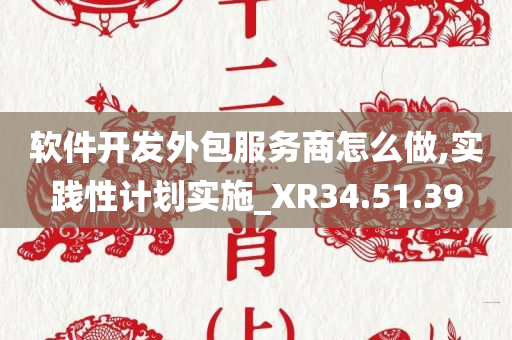 软件开发外包服务商怎么做,实践性计划实施_XR34.51.39