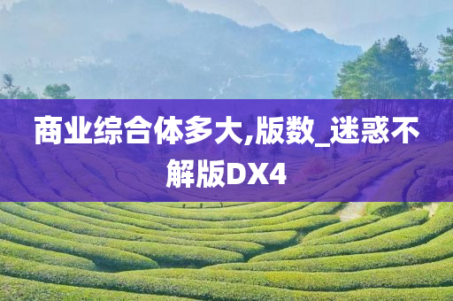 商业综合体多大,版数_迷惑不解版DX4