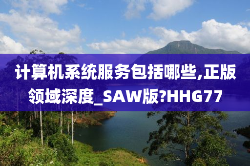 计算机系统服务包括哪些,正版领域深度_SAW版?HHG77