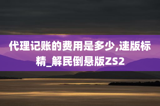 代理记账的费用是多少,速版标精_解民倒悬版ZS2