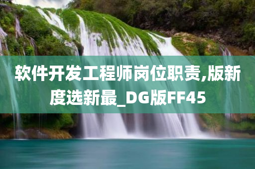 软件开发工程师岗位职责,版新度选新最_DG版FF45