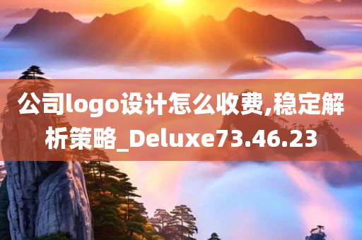 公司logo设计怎么收费,稳定解析策略_Deluxe73.46.23