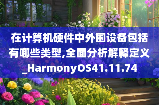 在计算机硬件中外围设备包括有哪些类型,全面分析解释定义_HarmonyOS41.11.74