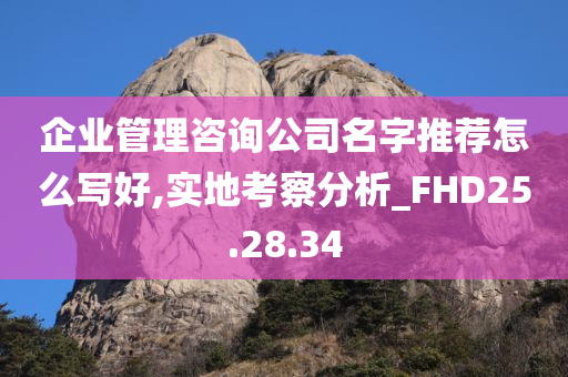 企业管理咨询公司名字推荐怎么写好,实地考察分析_FHD25.28.34