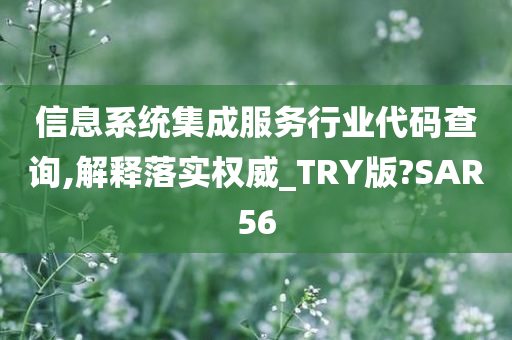 信息系统集成服务行业代码查询,解释落实权威_TRY版?SAR56