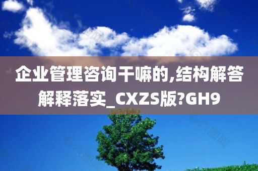 企业管理咨询干嘛的,结构解答解释落实_CXZS版?GH9