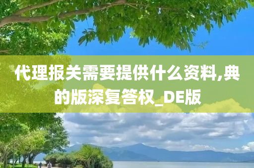 代理报关需要提供什么资料,典的版深复答权_DE版