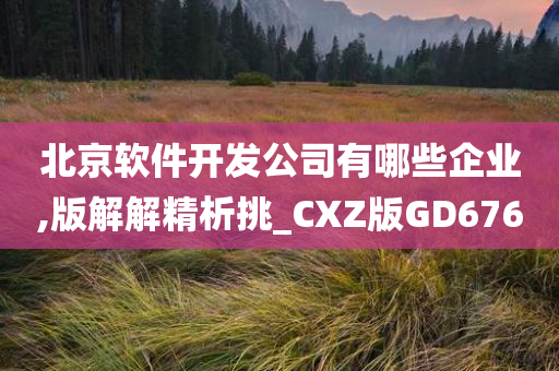 北京软件开发公司有哪些企业,版解解精析挑_CXZ版GD676