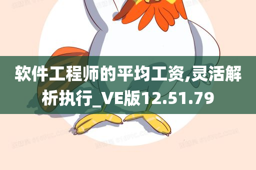 软件工程师的平均工资,灵活解析执行_VE版12.51.79