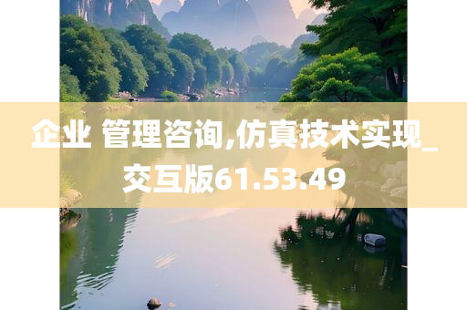 企业 管理咨询,仿真技术实现_交互版61.53.49