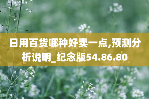 日用百货哪种好卖一点,预测分析说明_纪念版54.86.80