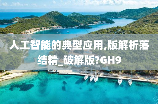 人工智能的典型应用,版解析落结精_破解版?GH9