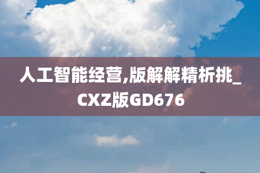 人工智能经营,版解解精析挑_CXZ版GD676