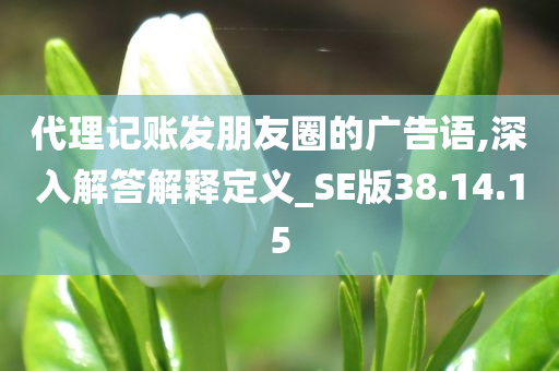 代理记账发朋友圈的广告语,深入解答解释定义_SE版38.14.15