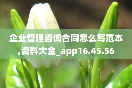 企业管理咨询合同怎么写范本,资料大全_app16.45.56